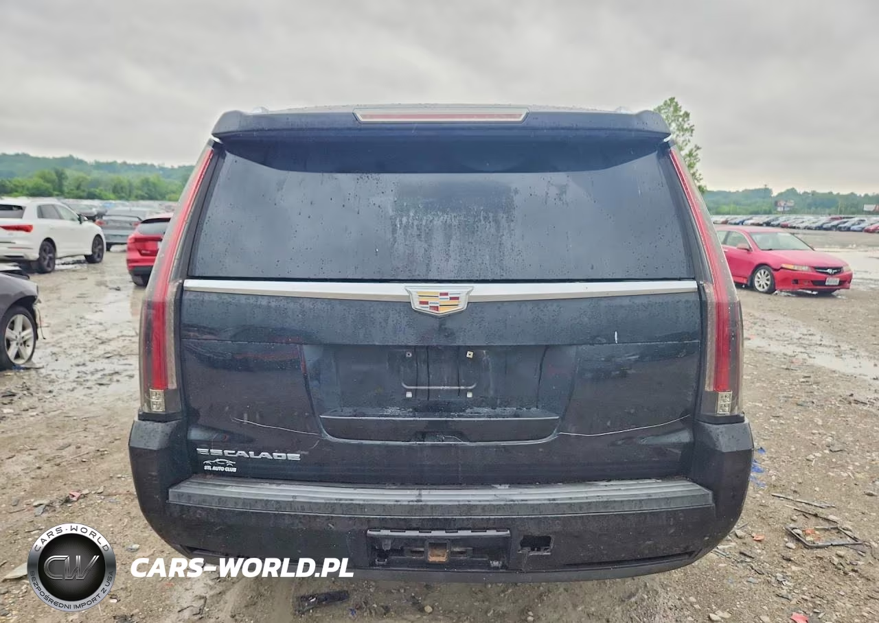 2016 Cadillac Escalade Luxury VIN:1GYS3BKJ9GR312769 - 6