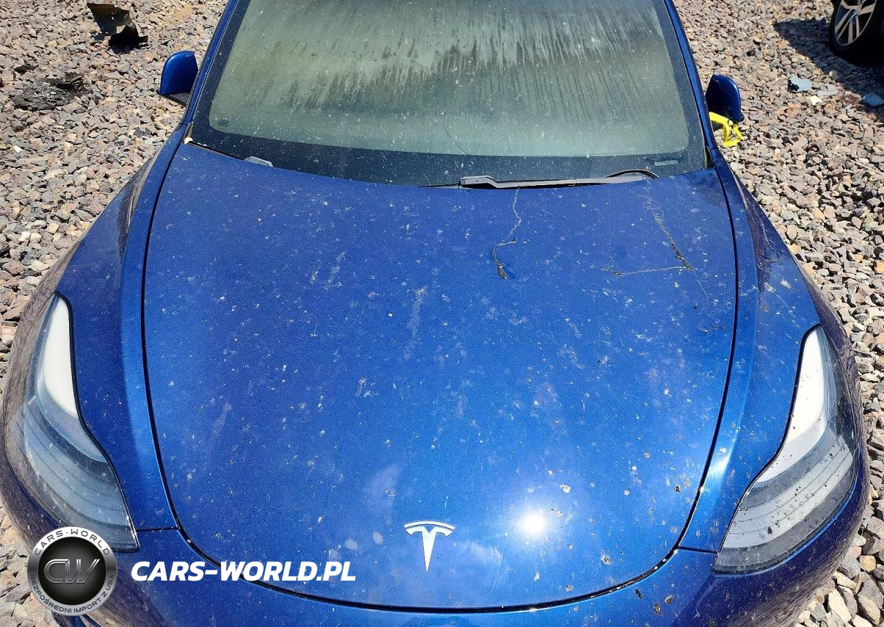 2021 Tesla Model 3 VIN:5YJ3E1EB8MF924482 - 11