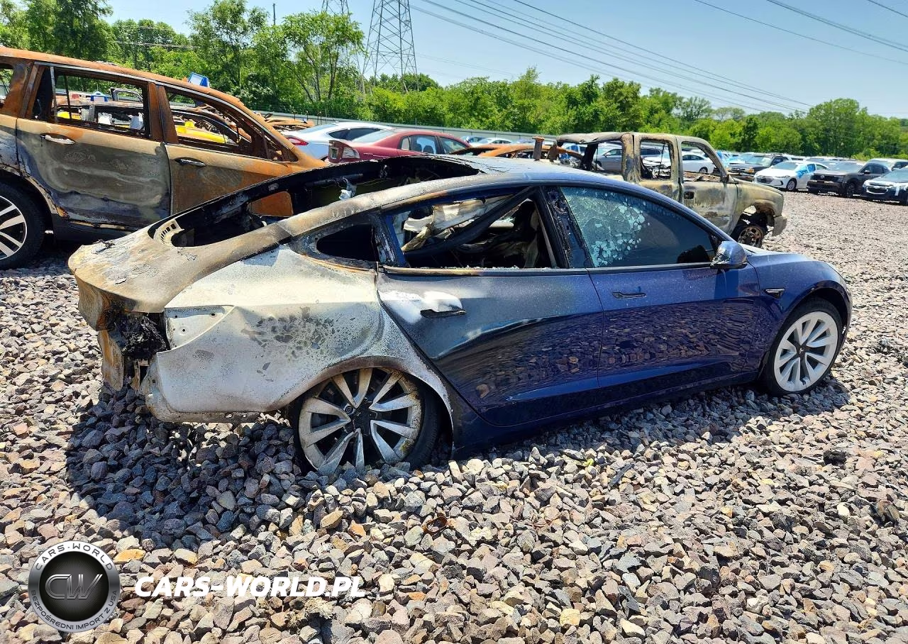 2021 Tesla Model 3 VIN:5YJ3E1EB8MF924482 - 3