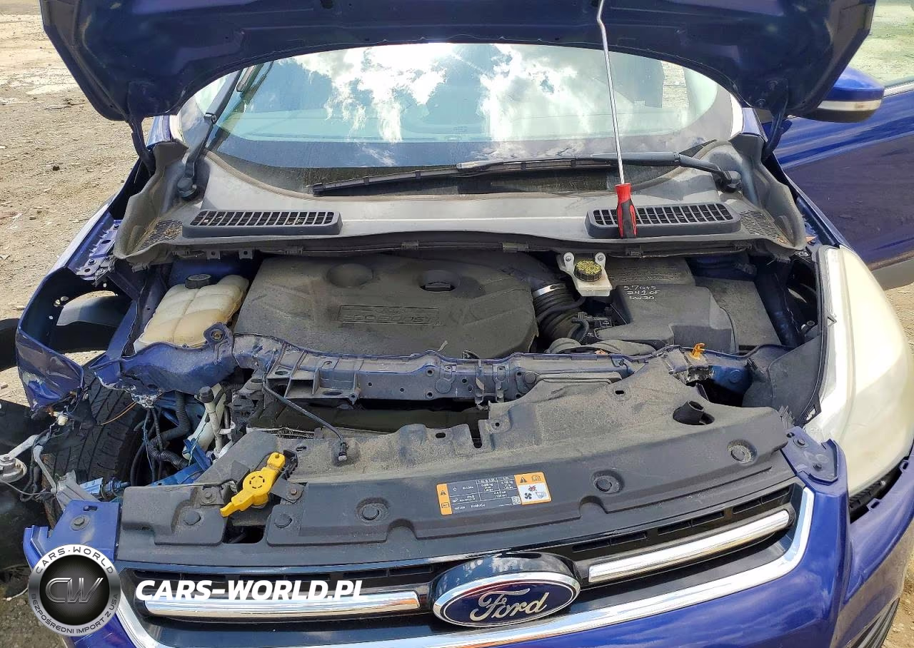2013 Ford Escape Sel VIN:1FMCU9H90DUD49534 - 12
