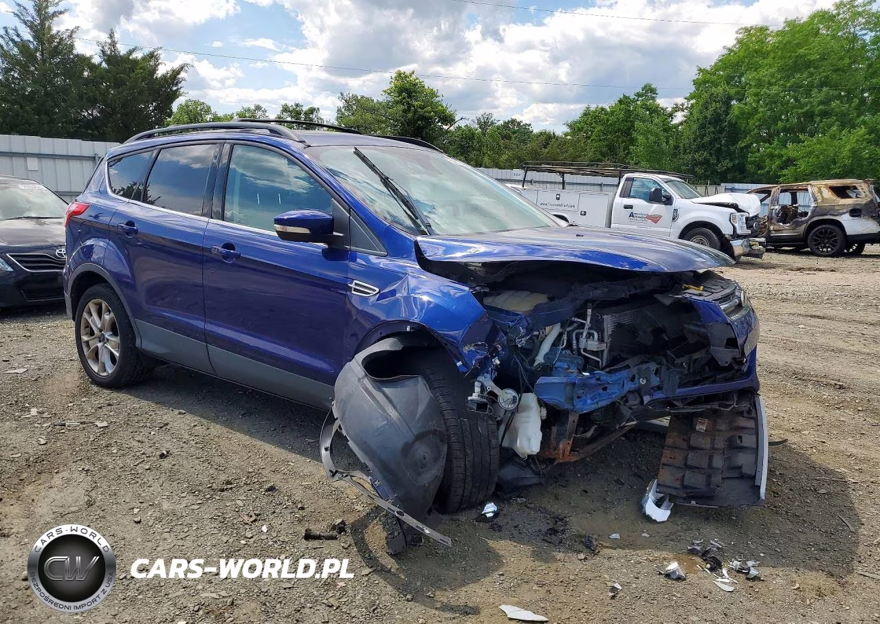 2013 Ford Escape Sel VIN:1FMCU9H90DUD49534 - 4