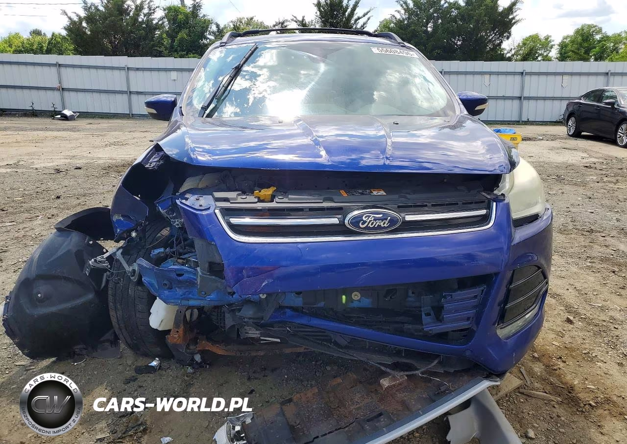 2013 Ford Escape Sel VIN:1FMCU9H90DUD49534 - 5