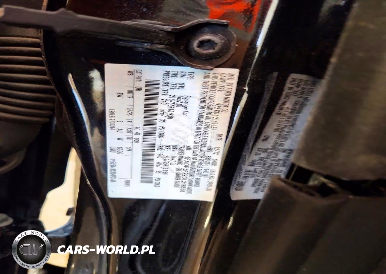 2013 Ford Focus Se VIN:1FADP3F22DL218538 - 12
