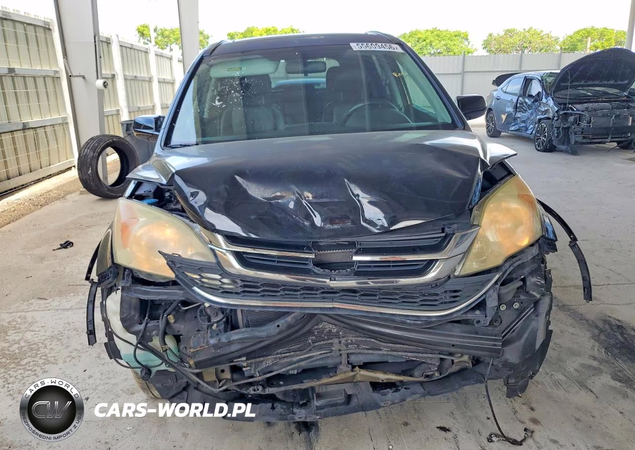 2010 Honda Cr-V Exl VIN:5J6RE3H7XAL047980 - 5