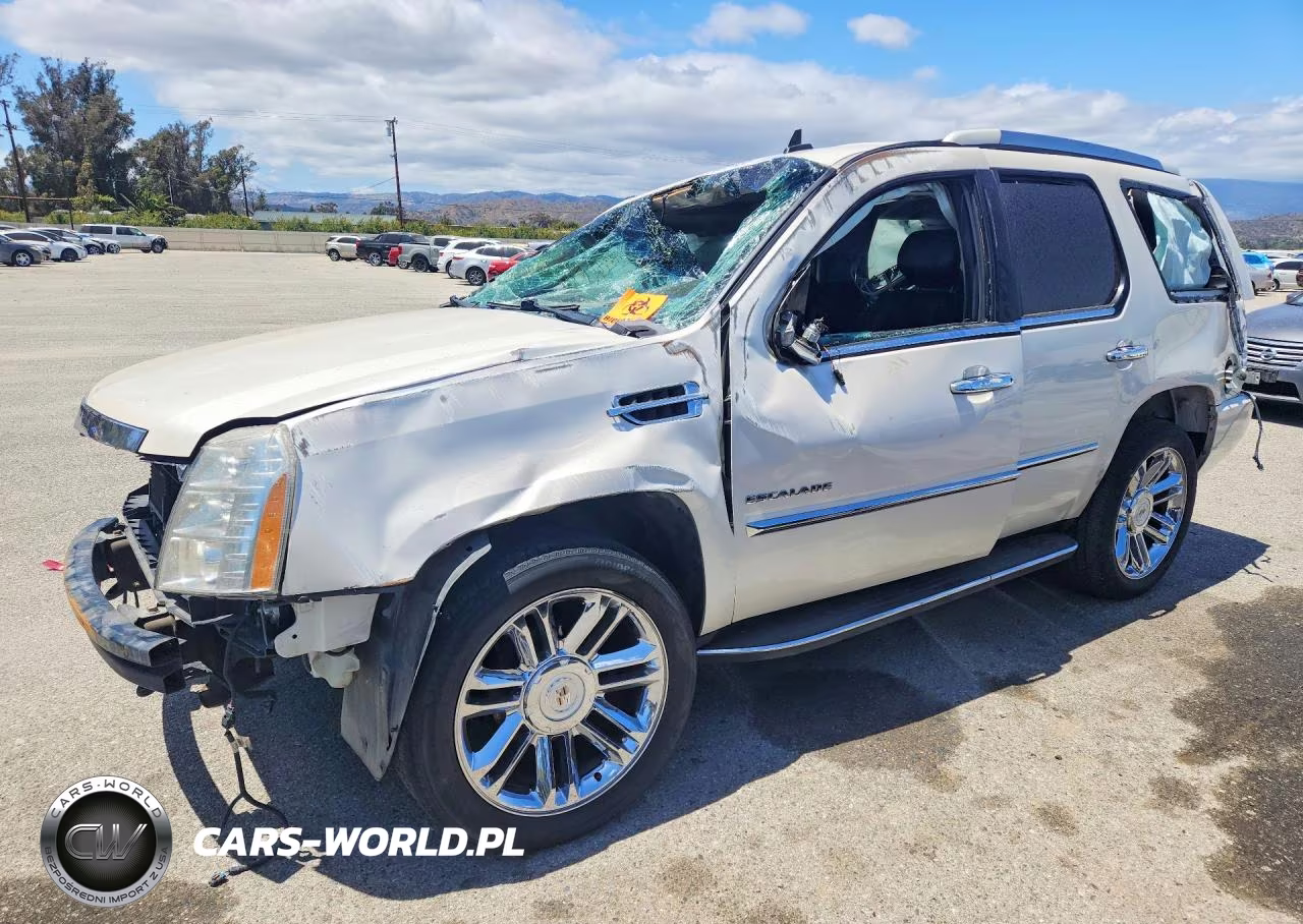2010 Cadillac Escalade Luxury VIN:1GYUKBEF3AR211866 - 1