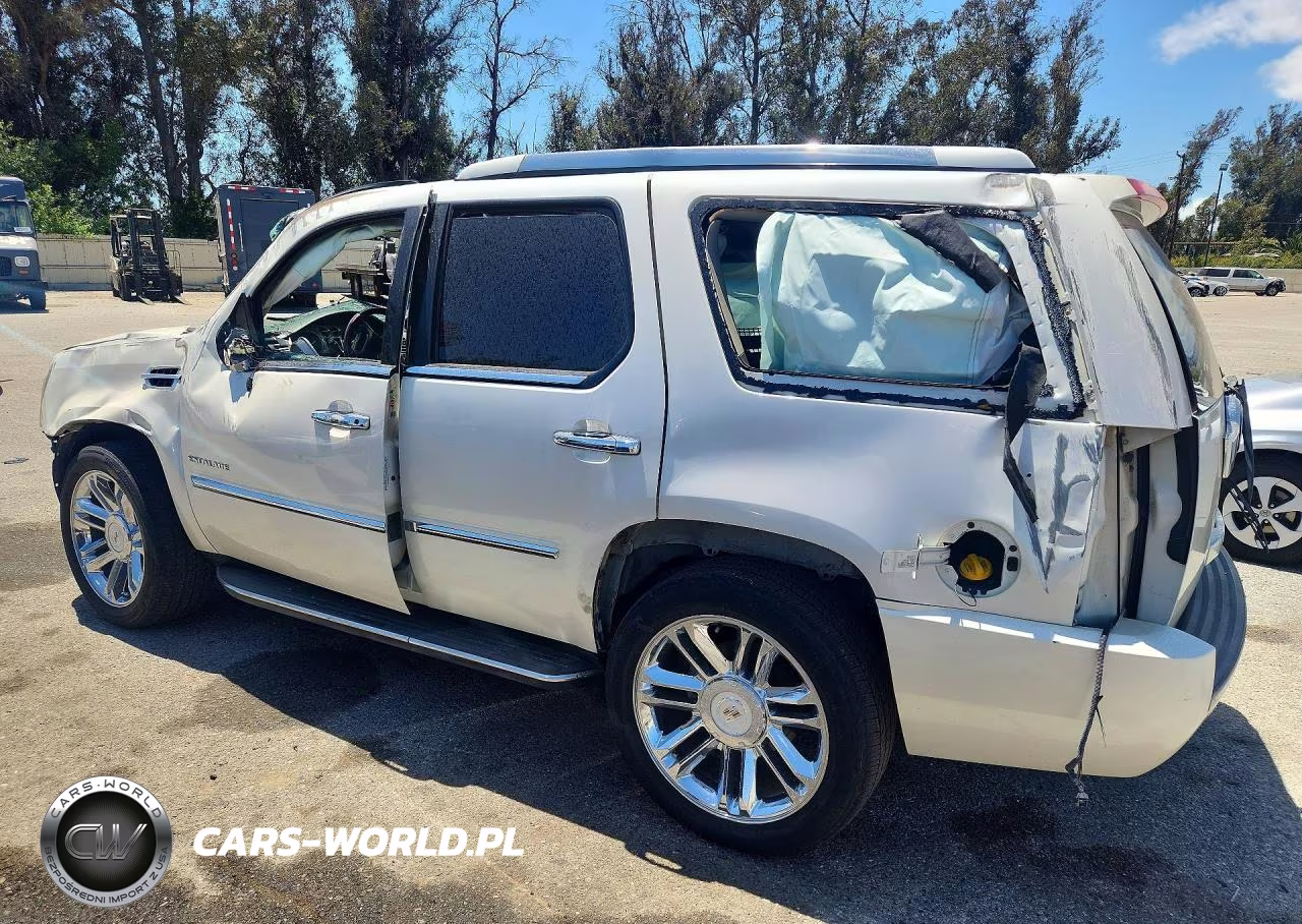 2010 Cadillac Escalade Luxury VIN:1GYUKBEF3AR211866 - 2