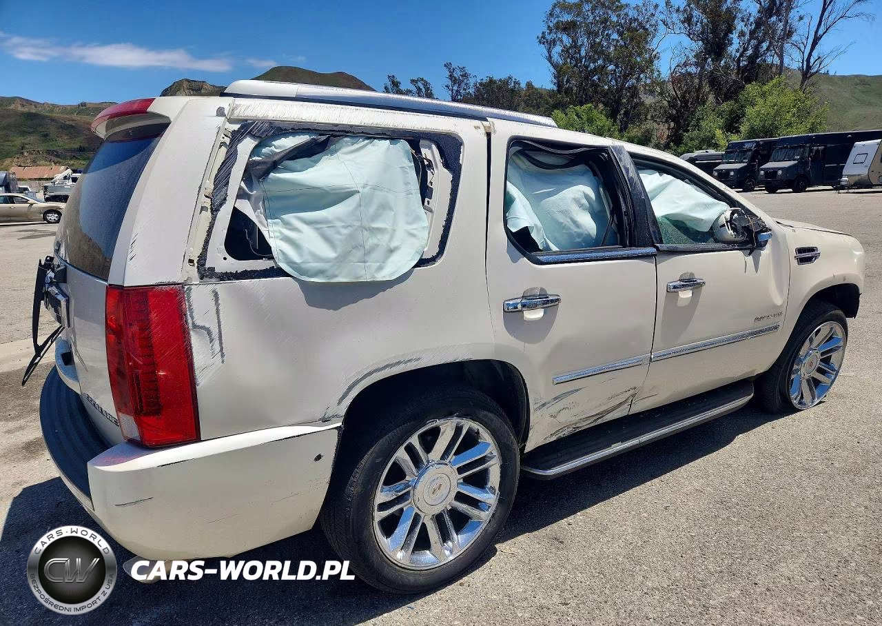 2010 Cadillac Escalade Luxury VIN:1GYUKBEF3AR211866 - 3