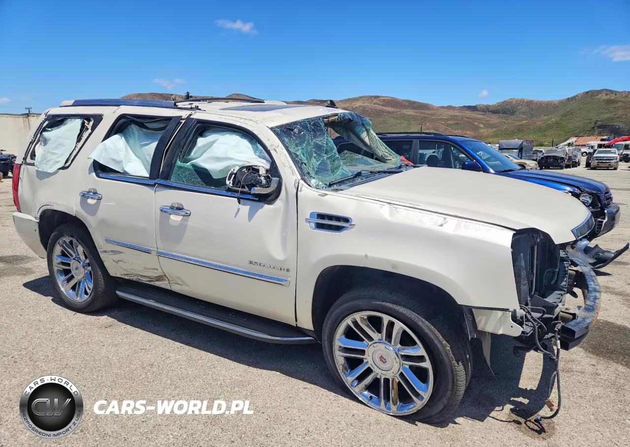 2010 Cadillac Escalade Luxury VIN:1GYUKBEF3AR211866 - 4