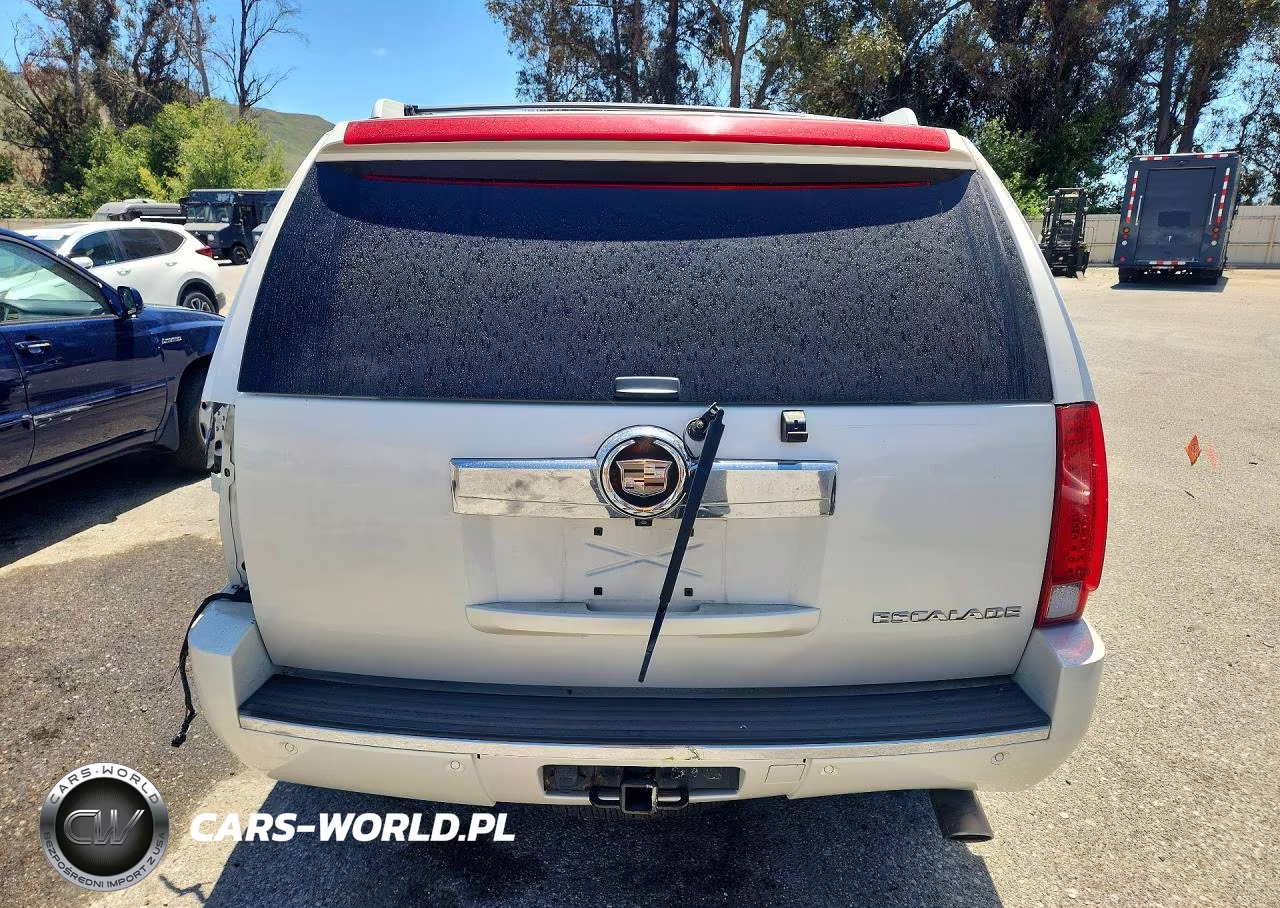 2010 Cadillac Escalade Luxury VIN:1GYUKBEF3AR211866 - 6