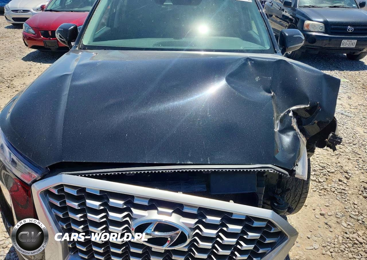 2021 Hyundai Palisade Sel VIN:KM8R4DHE4MU300461 - 11