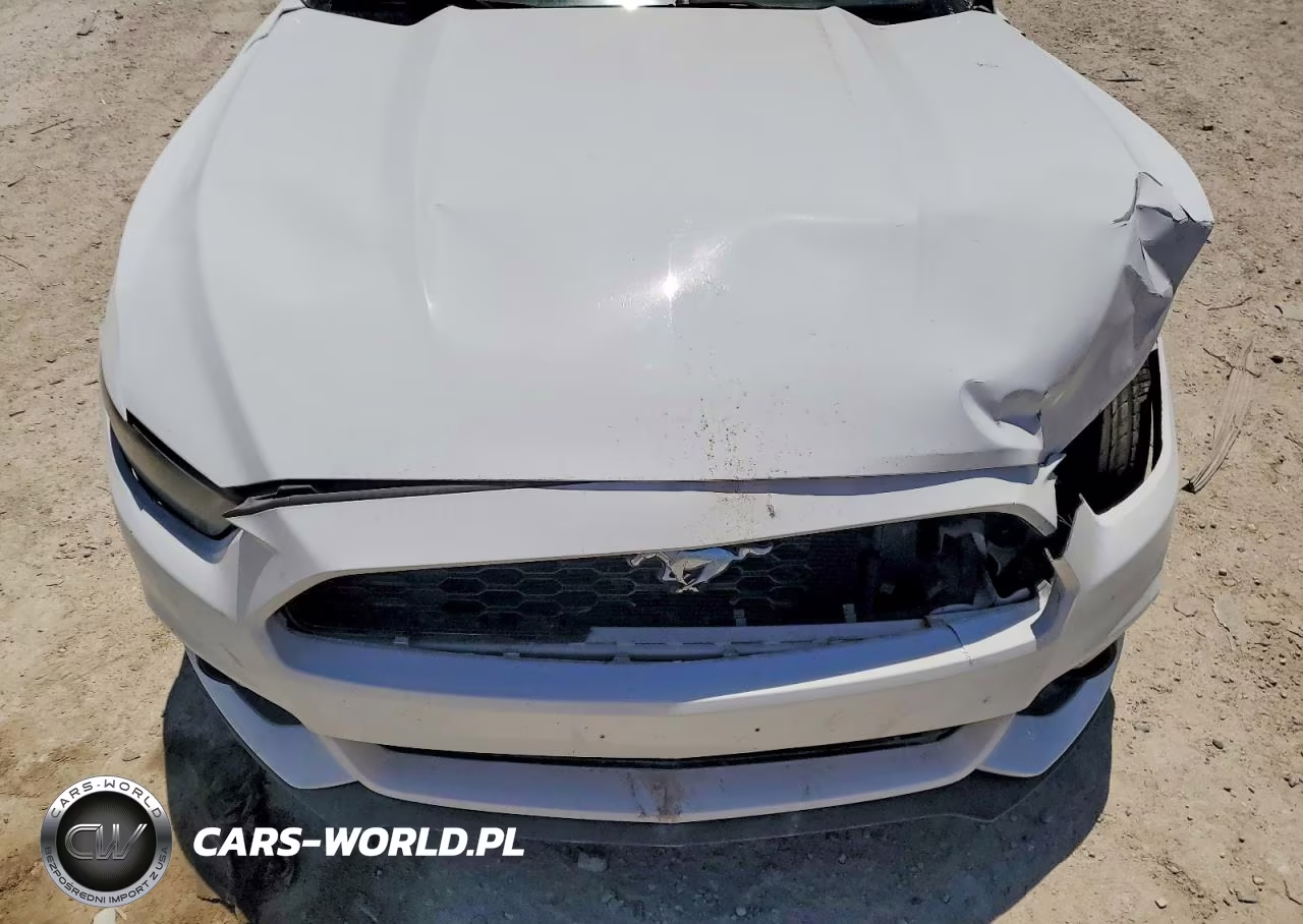 2015 Ford Mustang VIN:1FA6P8AM2F5309587 - 11