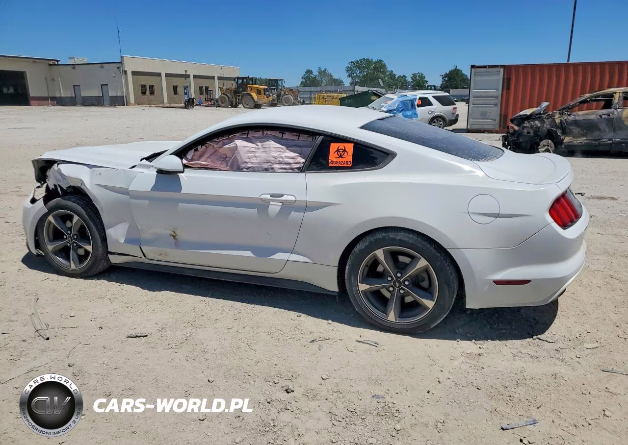 2015 Ford Mustang VIN:1FA6P8AM2F5309587 - 2