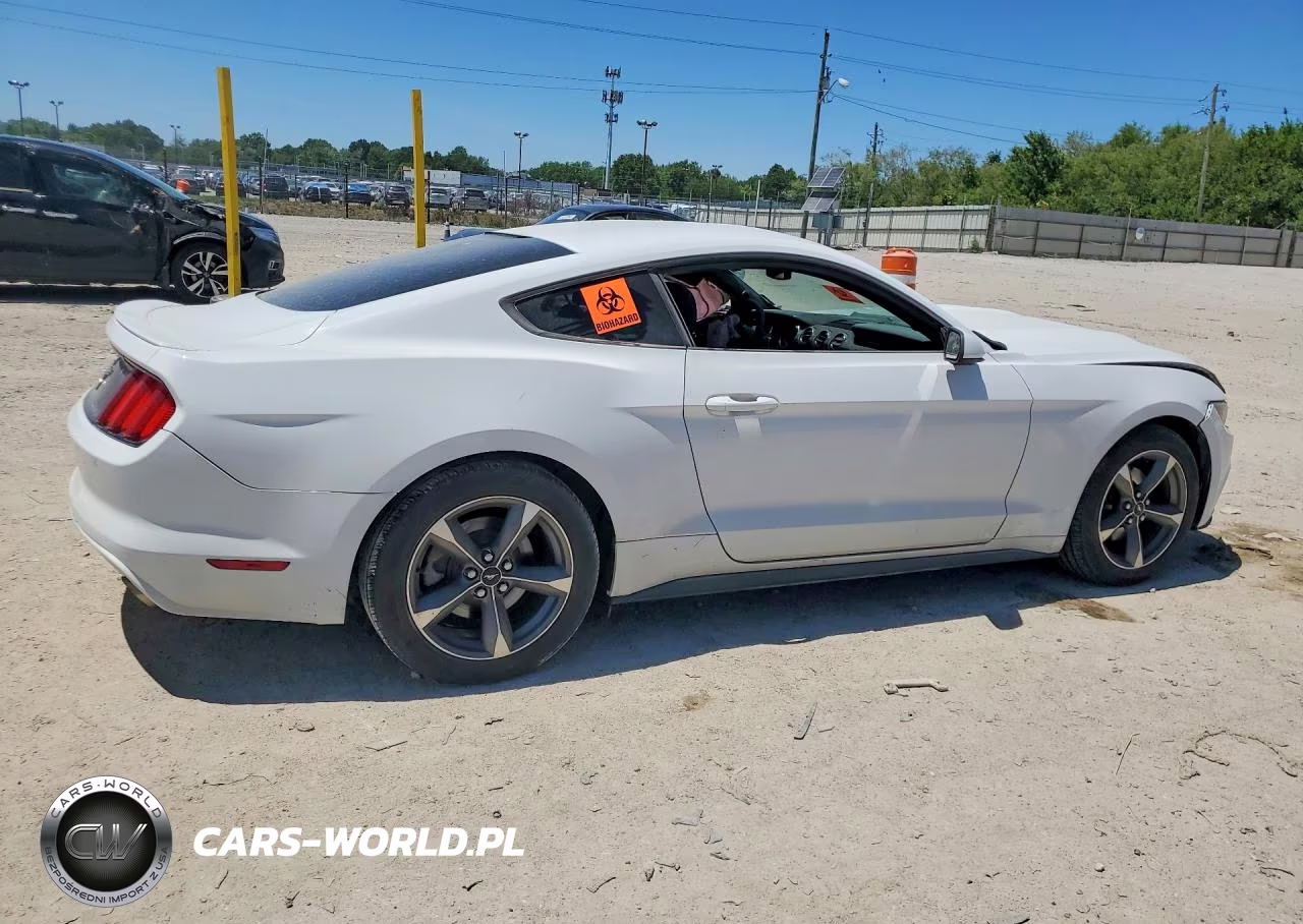 2015 Ford Mustang VIN:1FA6P8AM2F5309587 - 3