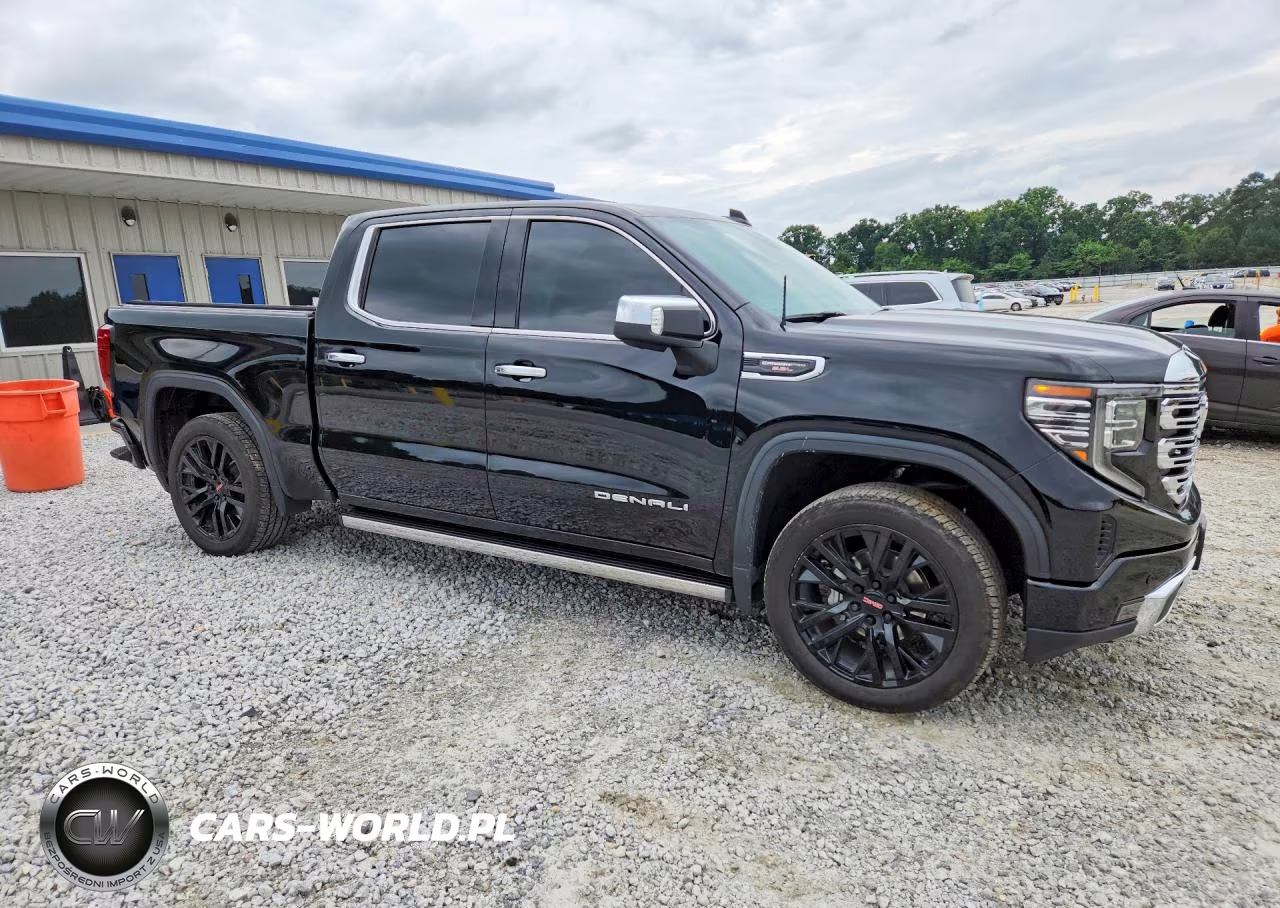 2023 GMC Sierra 1500 Denali C VIN:1GTUUGEL4PZ322289 - 4
