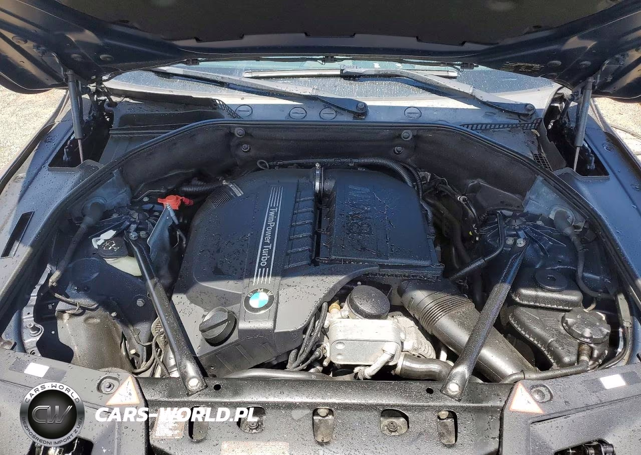 2013 BMW 535 Xigt VIN:WBASP2C51DC339889 - 11