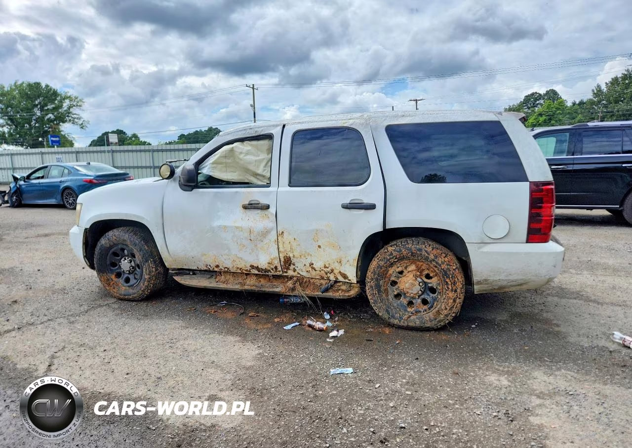 2010 Chevrolet Tahoe C1500 Ls VIN:1GNMCAE05AR109596 - 2