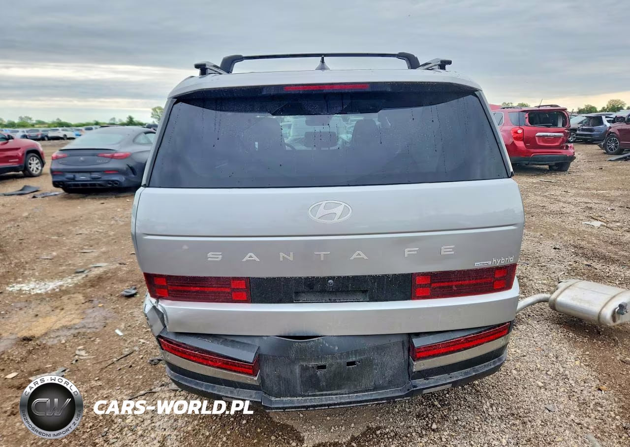 2025 Hyundai Santa Fe Limited VIN:5NMP3DG13SH064242 - 6