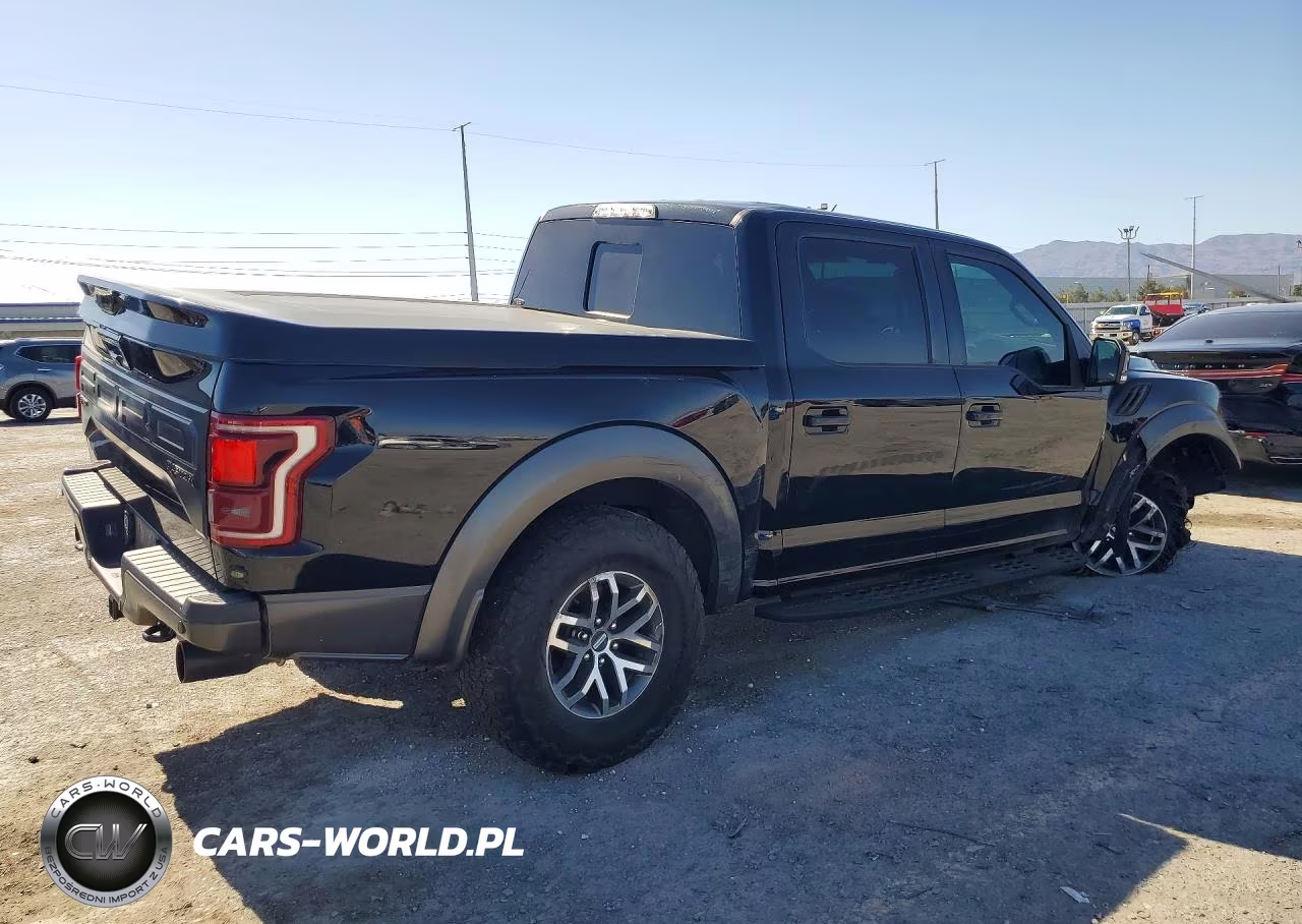 2018 Ford F150 Raptor VIN:1FTFW1RG4JFB27959 - 3