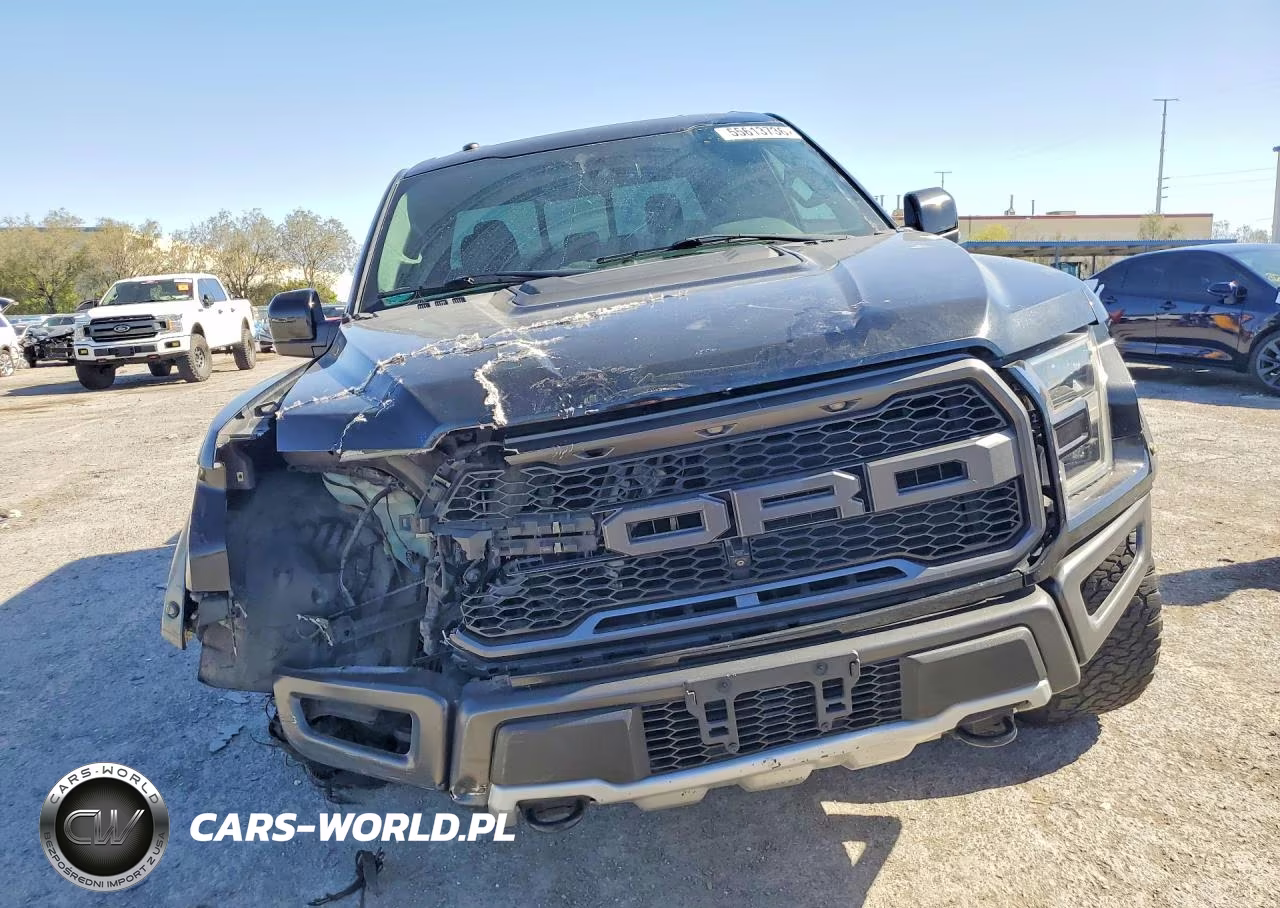 2018 Ford F150 Raptor VIN:1FTFW1RG4JFB27959 - 5