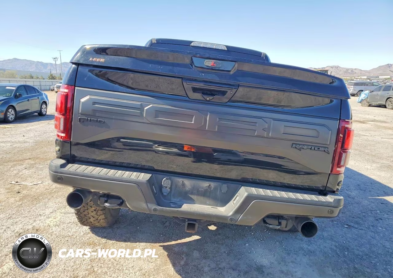 2018 Ford F150 Raptor VIN:1FTFW1RG4JFB27959 - 6