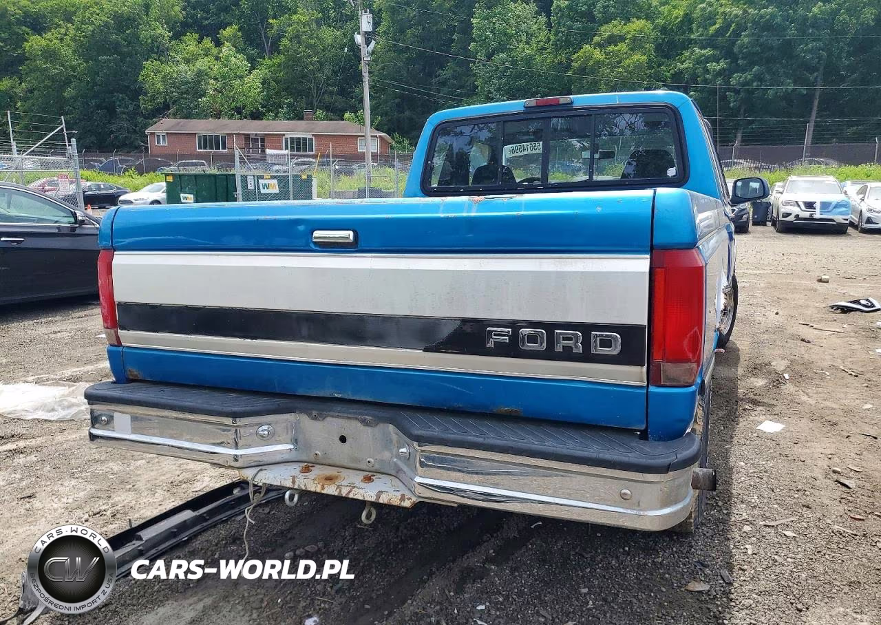 1995 Ford F150 VIN:1FTEX14Y9SKB48095 - 10