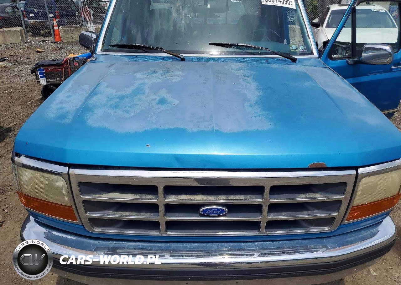 1995 Ford F150 VIN:1FTEX14Y9SKB48095 - 11