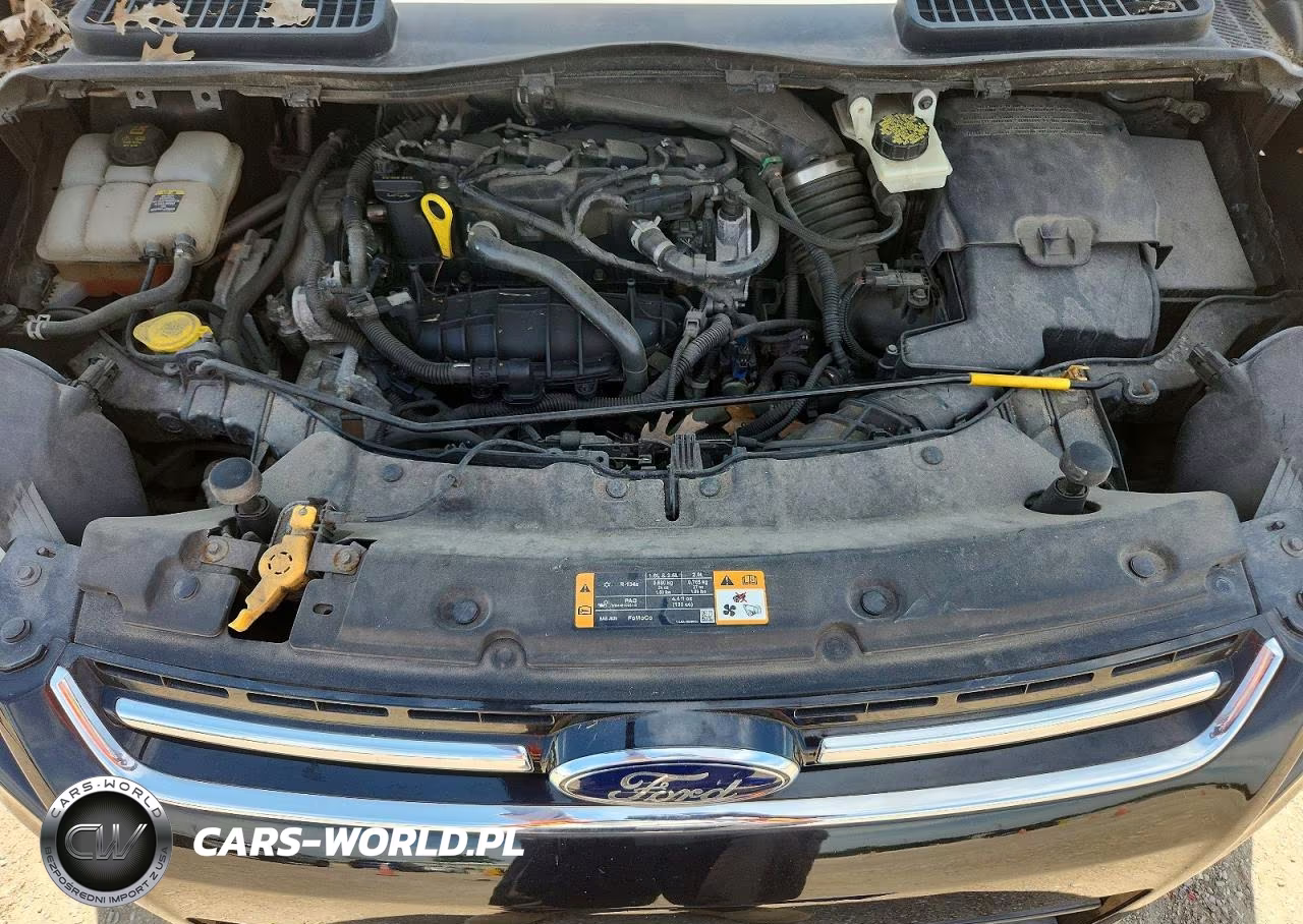 2013 Ford Escape Sel VIN:1FMCU0HXXDUA04599 - 12