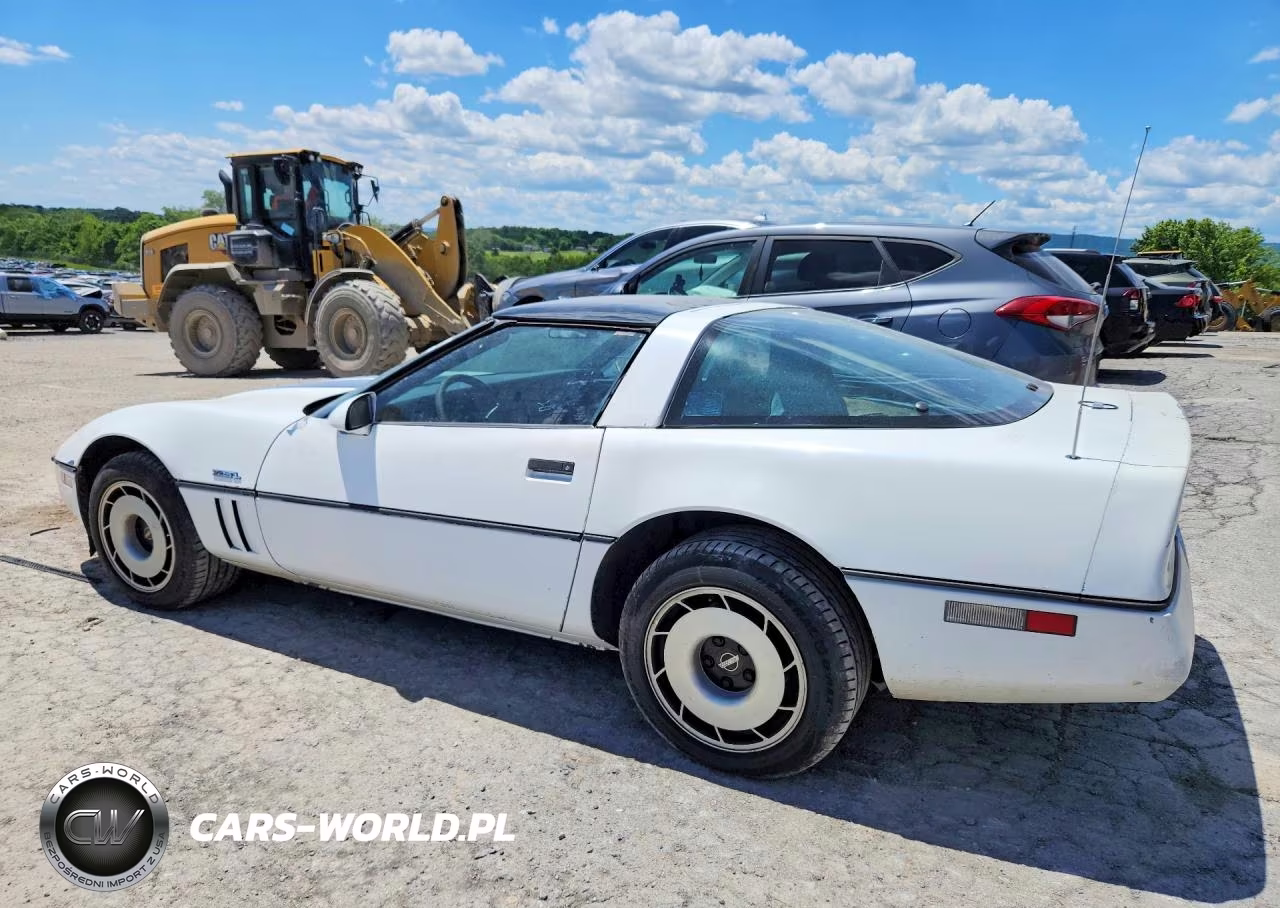 1985 Chevrolet Corvette VIN:1G1YY0782F5133192 - 2