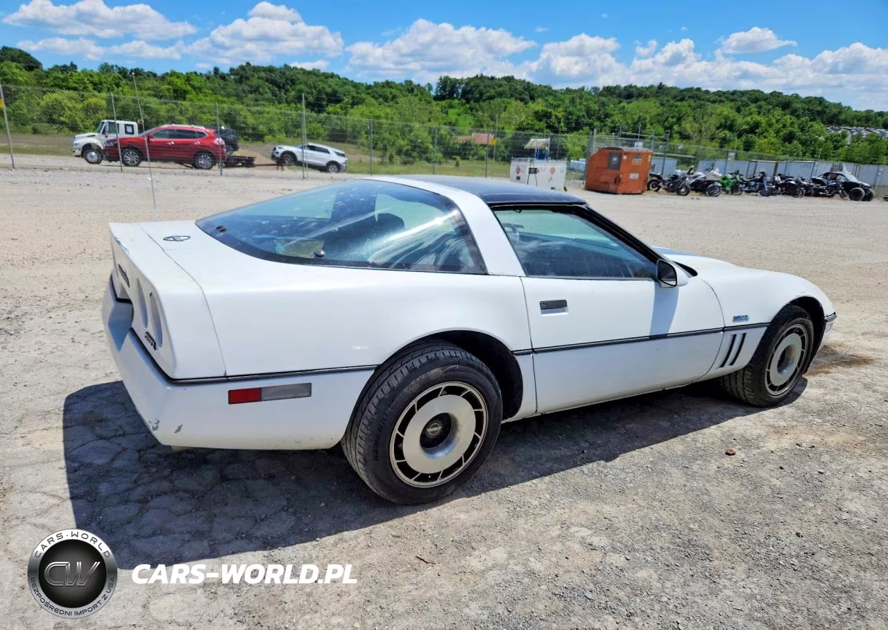 1985 Chevrolet Corvette VIN:1G1YY0782F5133192 - 3