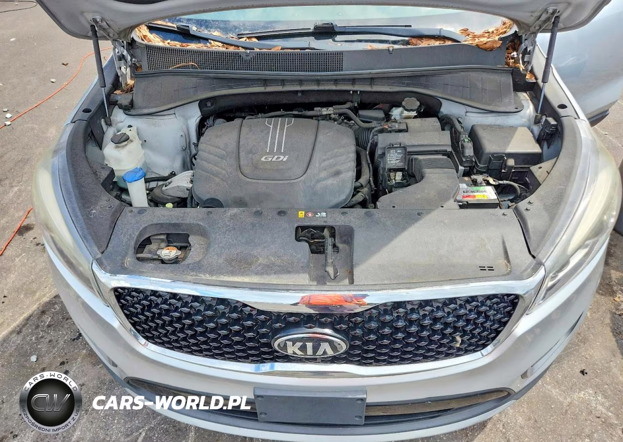 2016 Kia Sorento Ex V6 VIN:5XYPH4A55GG112290 - 12