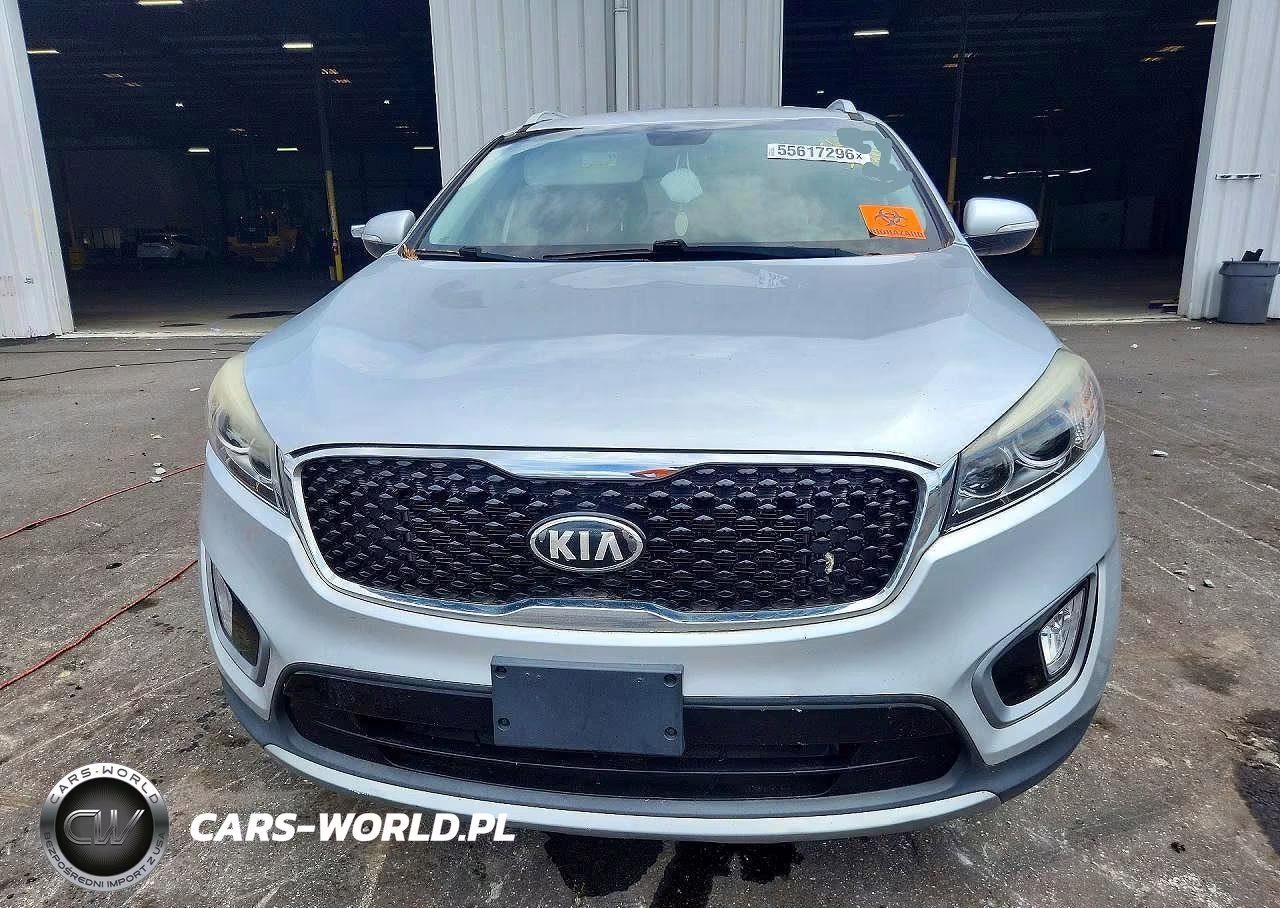 2016 Kia Sorento Ex V6 VIN:5XYPH4A55GG112290 - 5