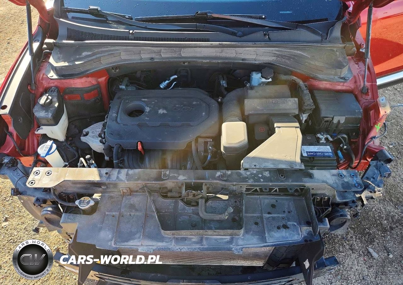 2019 Hyundai Santa Fe Sel Plus 2.4L VIN:5NMS3CADXKH058056 - 11