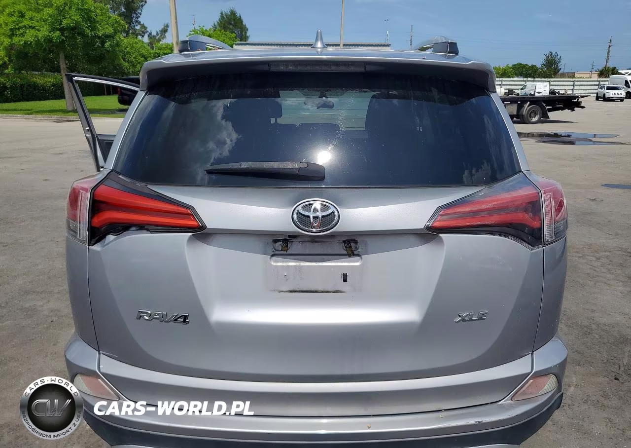 2016 Toyota Rav4 Xle VIN:2T3WFREV1GW250175 - 6