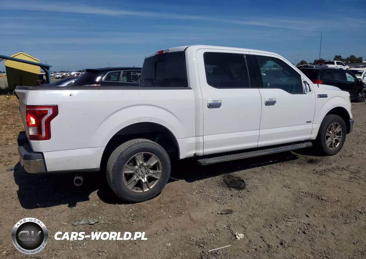 2016 Ford F150 Supercrew VIN:1FTEW1CP8GKD17929 - 3
