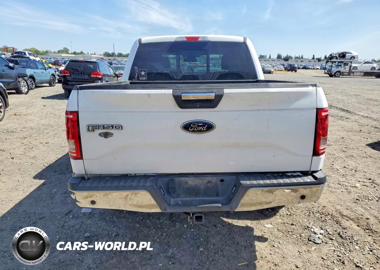 2016 Ford F150 Supercrew VIN:1FTEW1CP8GKD17929 - 6