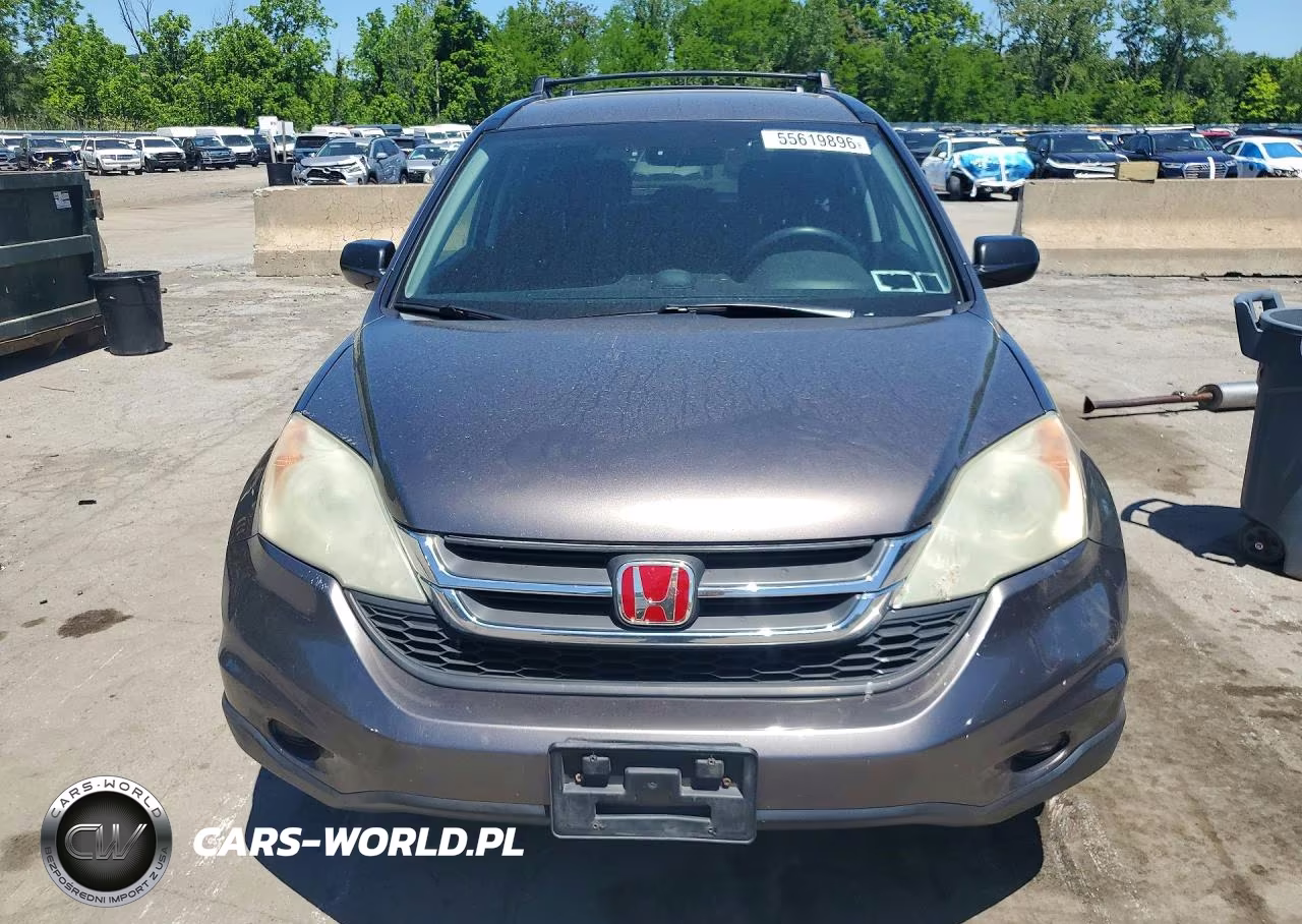 2011 Honda Cr-V Se VIN:5J6RE4H48BL056724 - 5