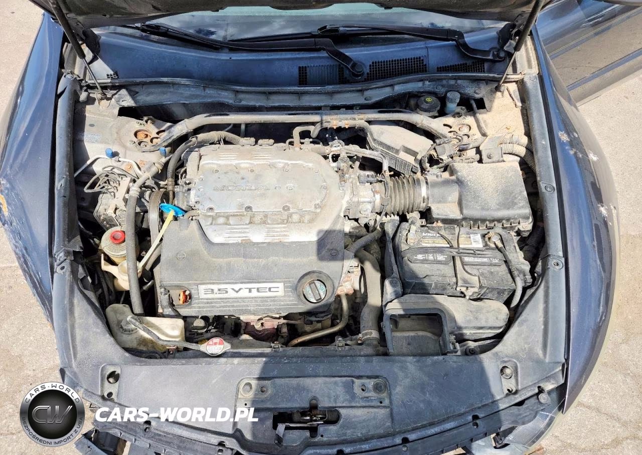 2008 Honda Accord Exl VIN:1HGCS21848A004034 - 11