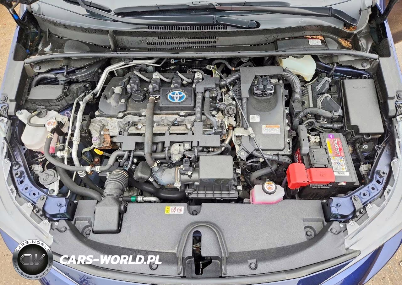 2022 Toyota Corolla Le VIN:JTDEAMDE1NJ045501 - 11