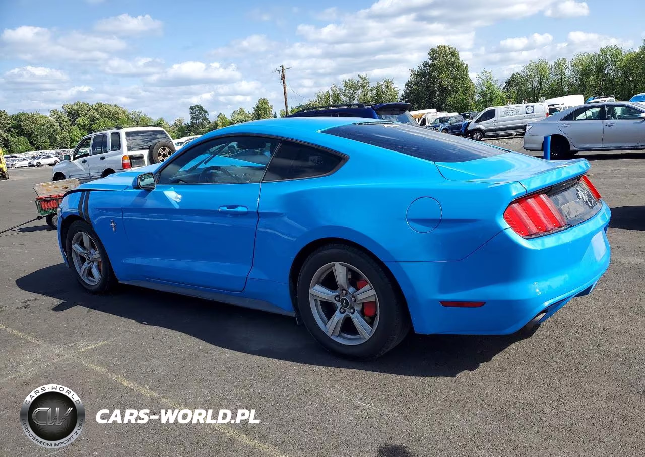 2017 Ford Mustang VIN:1FA6P8AM6H5259828 - 2