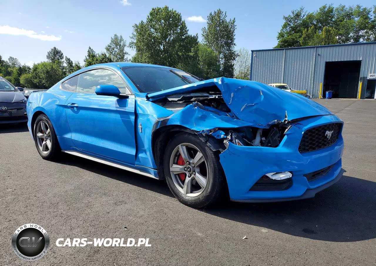 2017 Ford Mustang VIN:1FA6P8AM6H5259828 - 4
