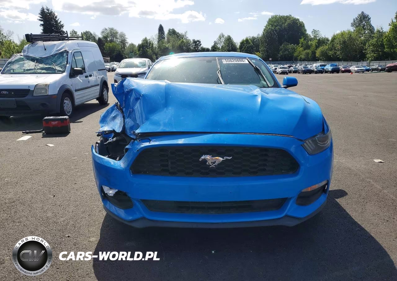 2017 Ford Mustang VIN:1FA6P8AM6H5259828 - 5