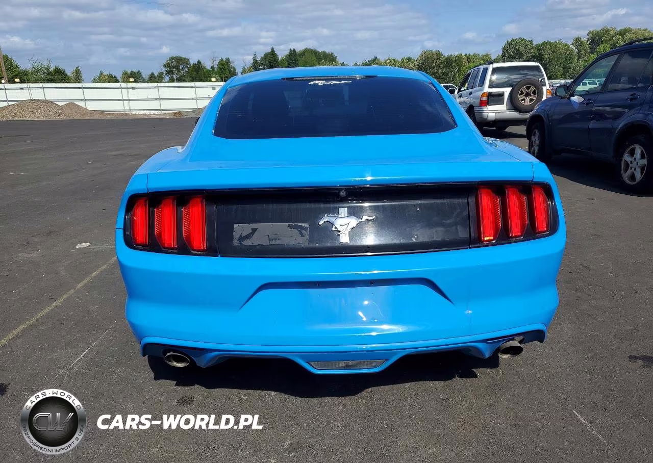 2017 Ford Mustang VIN:1FA6P8AM6H5259828 - 6