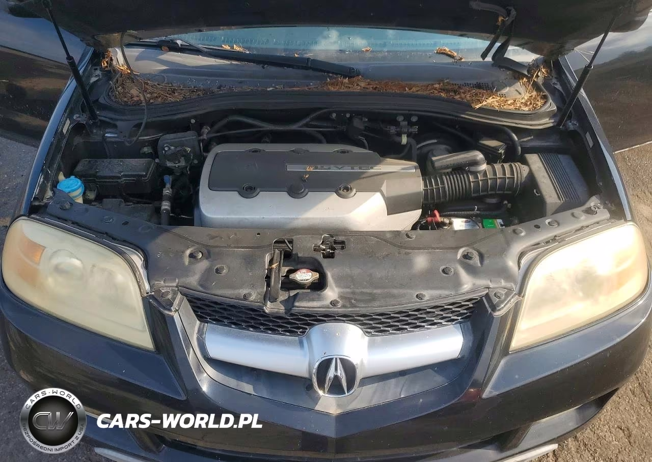 2005 Acura Mdx Touring VIN:2HNYD18995H545191 - 12