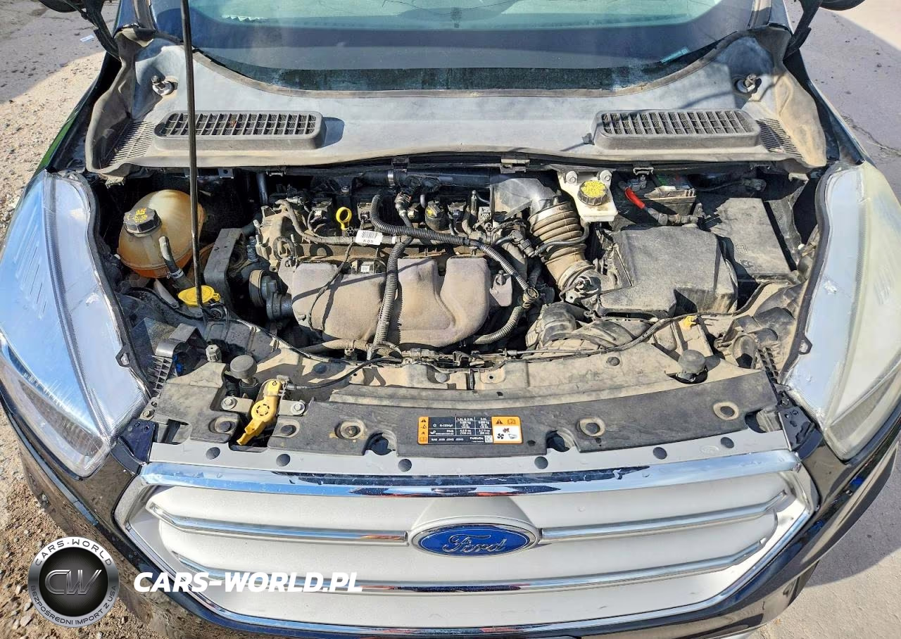 2017 Ford Escape Se VIN:1FMCU9G99HUB94196 - 12