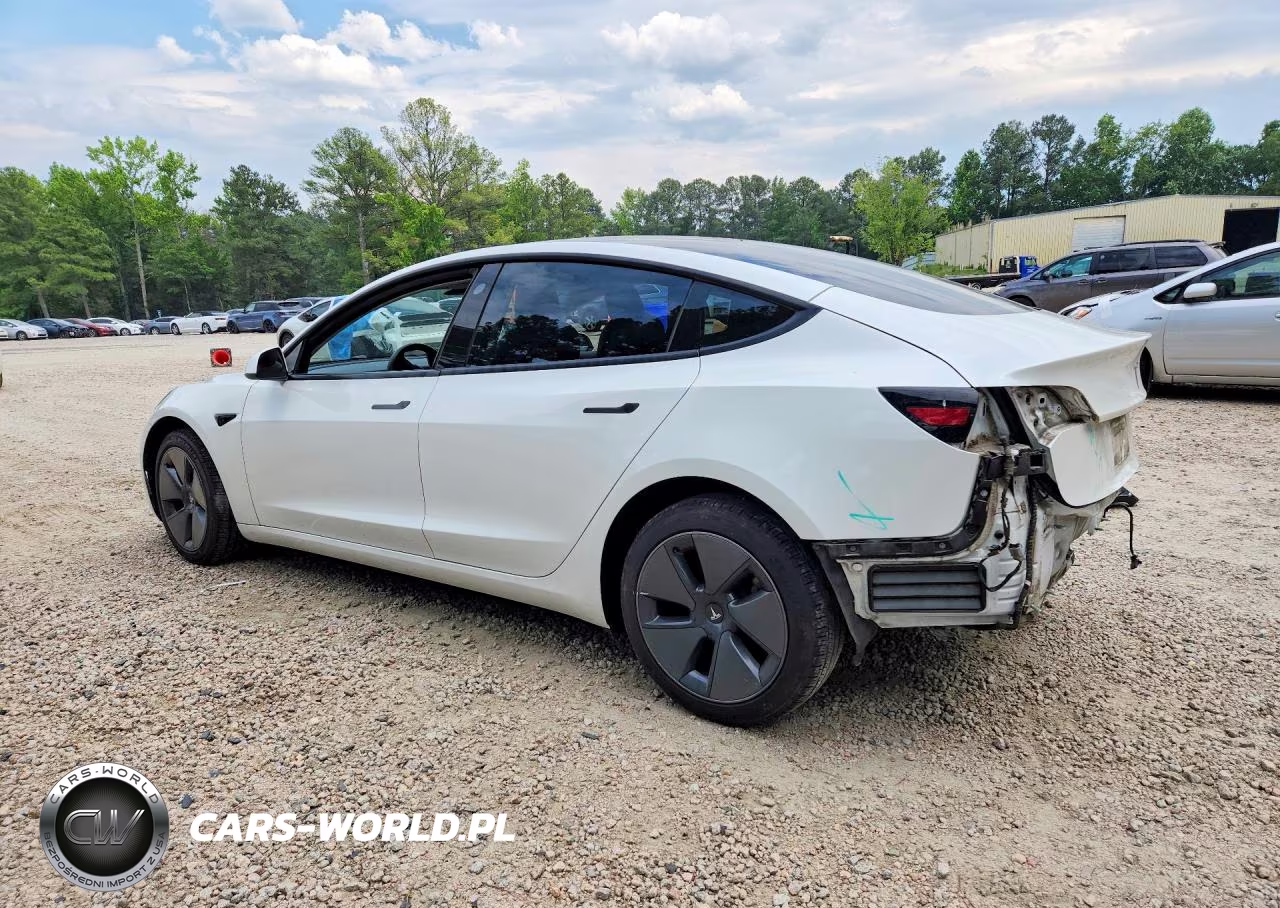 2021 Tesla Model 3 VIN:5YJ3E1EA9MF977103 - 2
