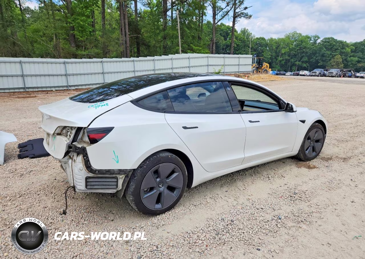 2021 Tesla Model 3 VIN:5YJ3E1EA9MF977103 - 3