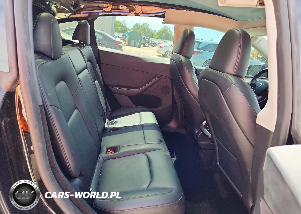 2024 Tesla Model Y VIN:7SAYGDEE1RA215900 - 10
