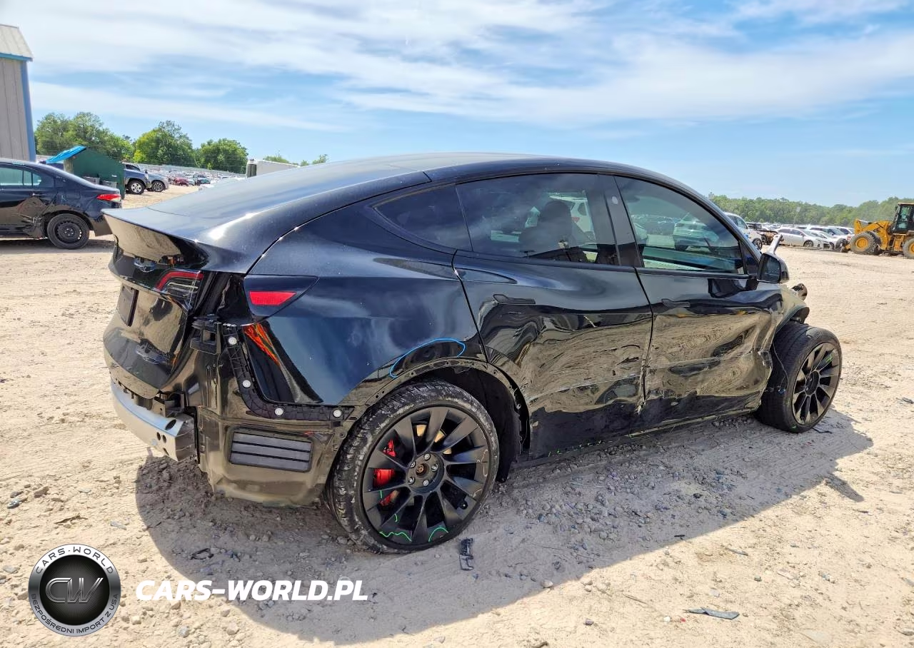 2024 Tesla Model Y VIN:7SAYGDEE1RA215900 - 3