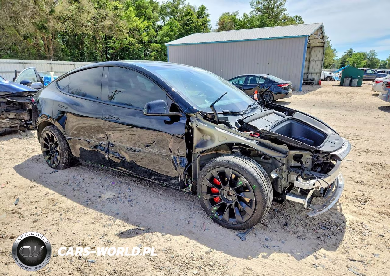 2024 Tesla Model Y VIN:7SAYGDEE1RA215900 - 4