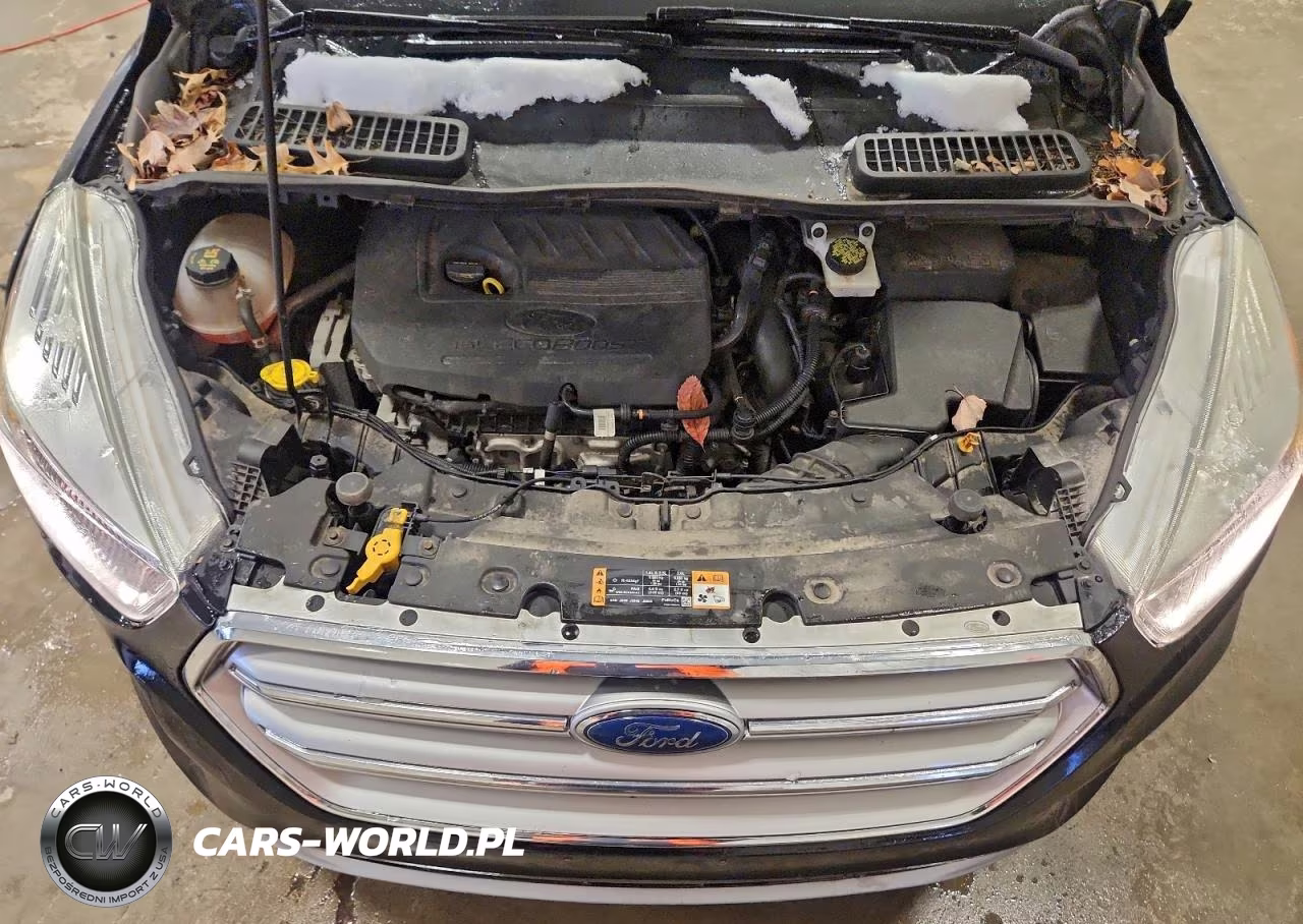 2017 Ford Escape Se VIN:1FMCU0GD9HUB14749 - 12